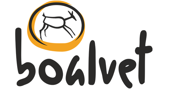 Logo de Boalvet
