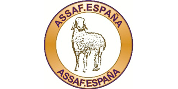 Logo de a-ASSAFE